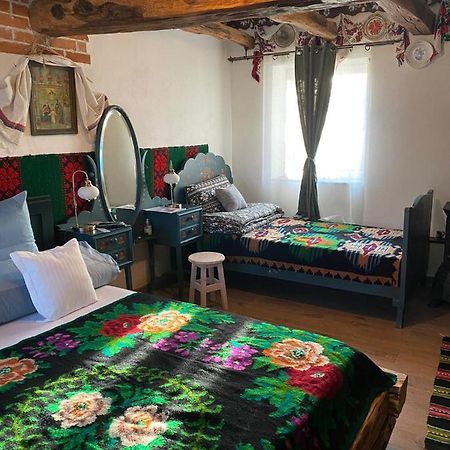 Apartament Casa Cezara Silvasu de Jos Zewnętrze zdjęcie