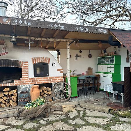 Apartament Casa Cezara Silvasu de Jos Zewnętrze zdjęcie