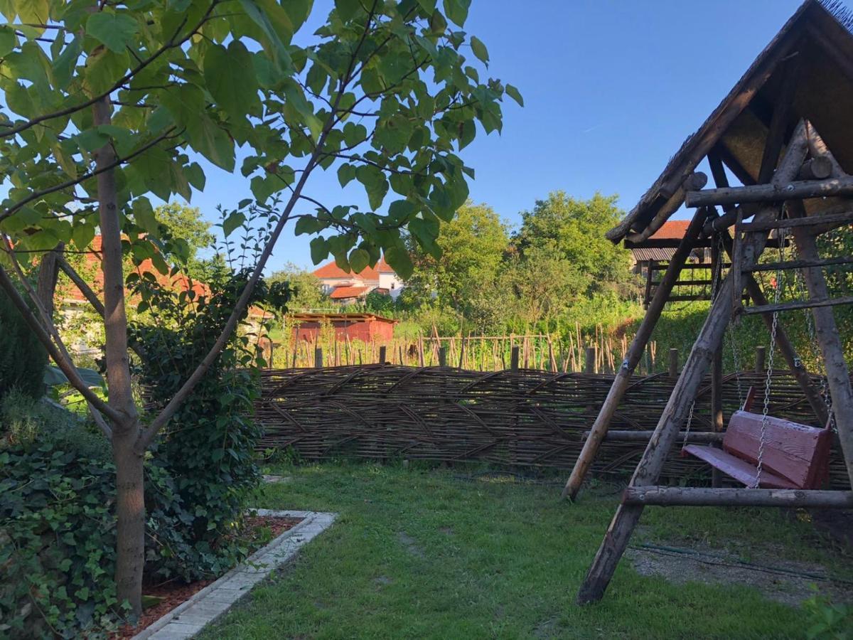 Apartament Casa Cezara Silvasu de Jos Zewnętrze zdjęcie