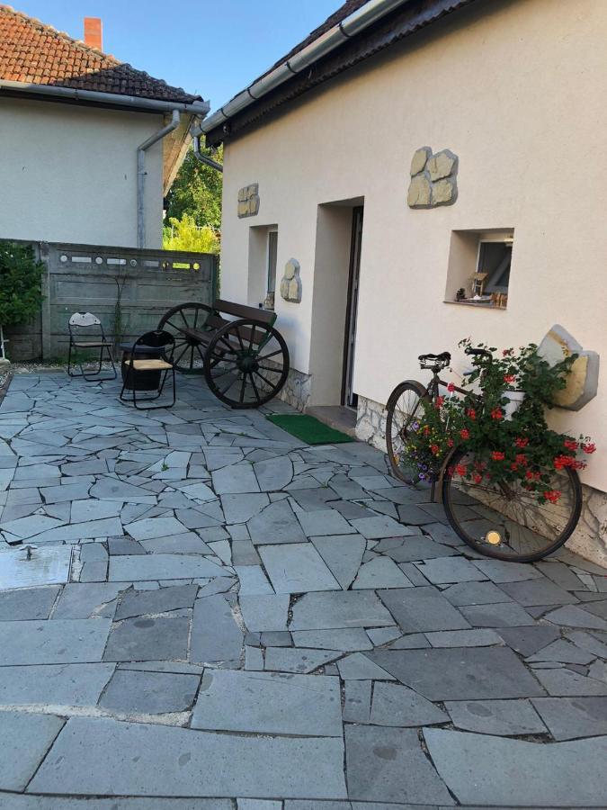 Apartament Casa Cezara Silvasu de Jos Zewnętrze zdjęcie