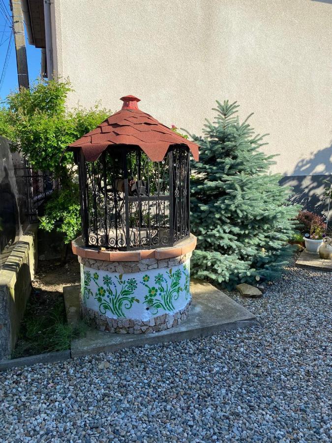 Apartament Casa Cezara Silvasu de Jos Zewnętrze zdjęcie