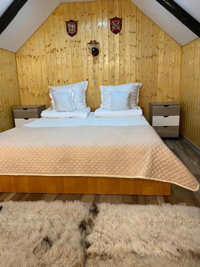 Apartament Casa Cezara Silvasu de Jos Zewnętrze zdjęcie