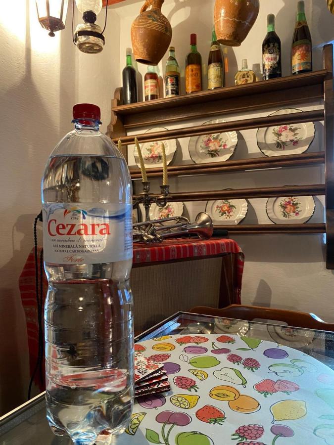 Apartament Casa Cezara Silvasu de Jos Zewnętrze zdjęcie