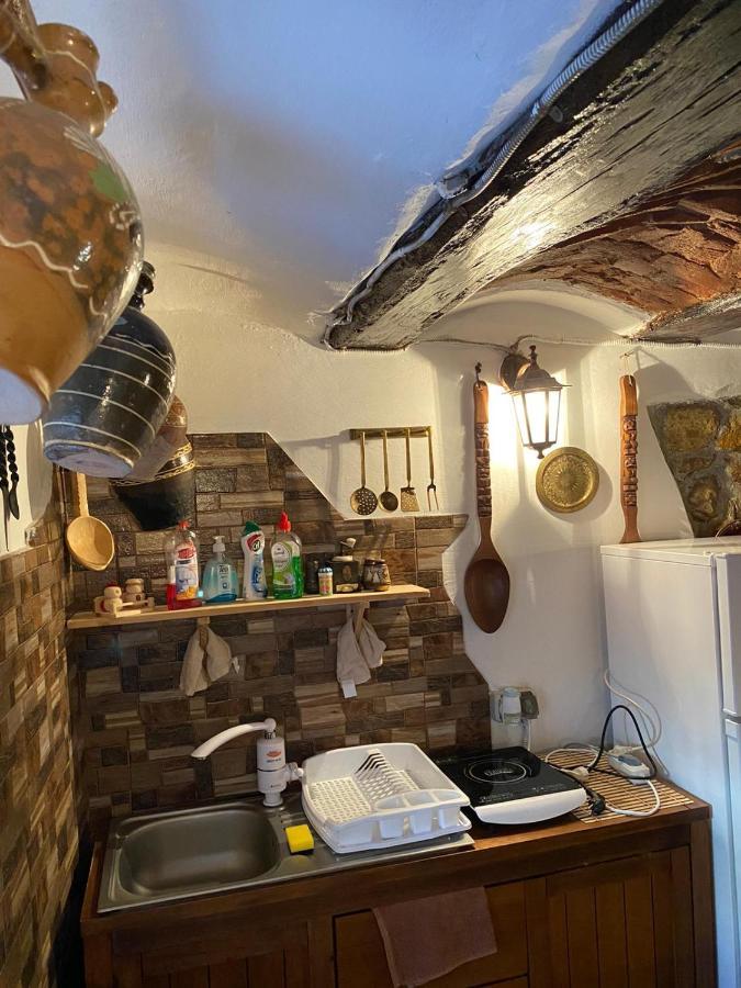 Apartament Casa Cezara Silvasu de Jos Zewnętrze zdjęcie