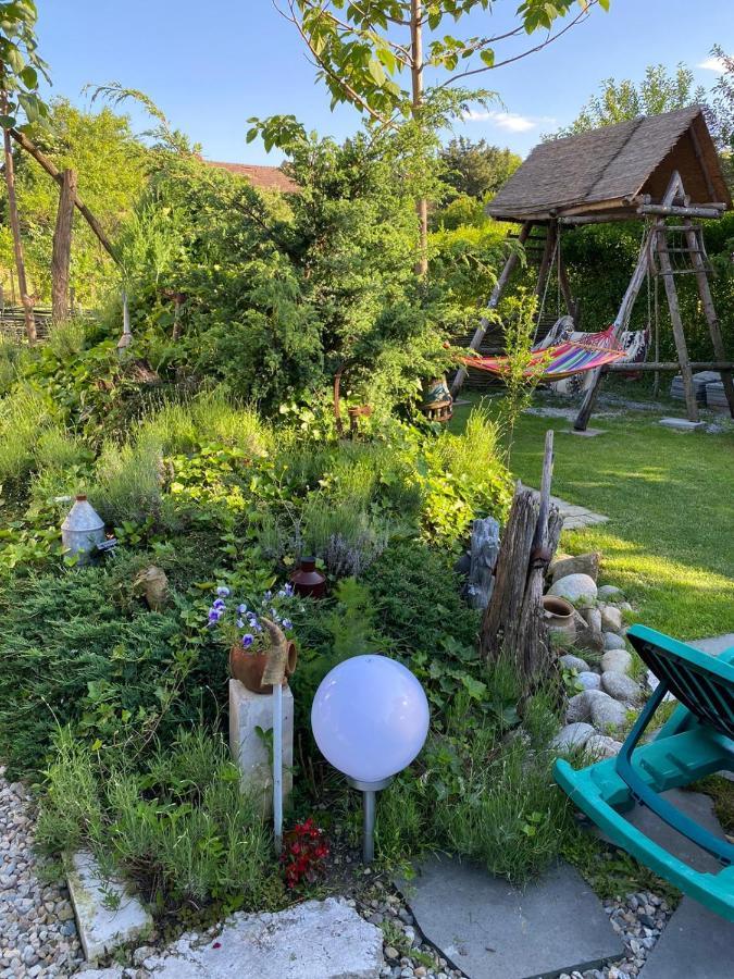 Apartament Casa Cezara Silvasu de Jos Zewnętrze zdjęcie