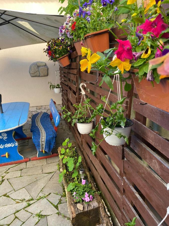 Apartament Casa Cezara Silvasu de Jos Zewnętrze zdjęcie