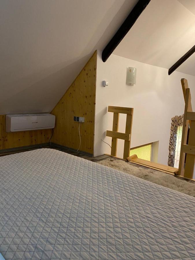 Apartament Casa Cezara Silvasu de Jos Zewnętrze zdjęcie