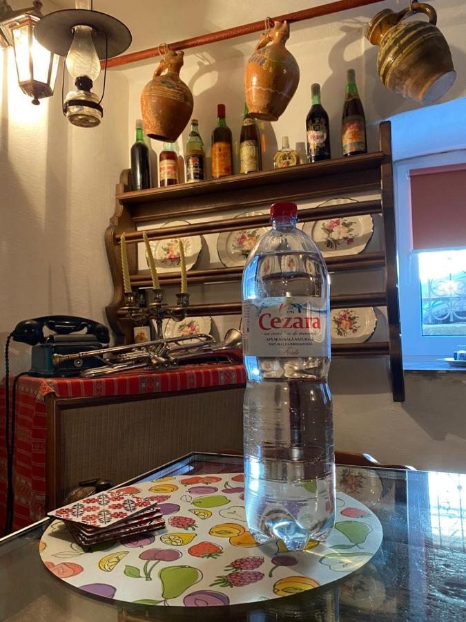 Apartament Casa Cezara Silvasu de Jos Zewnętrze zdjęcie
