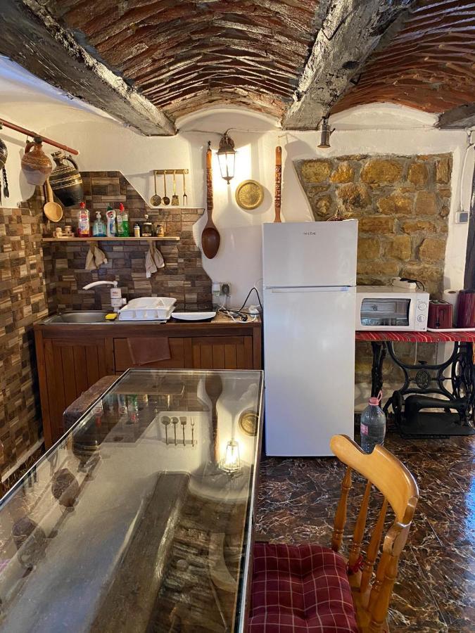 Apartament Casa Cezara Silvasu de Jos Zewnętrze zdjęcie
