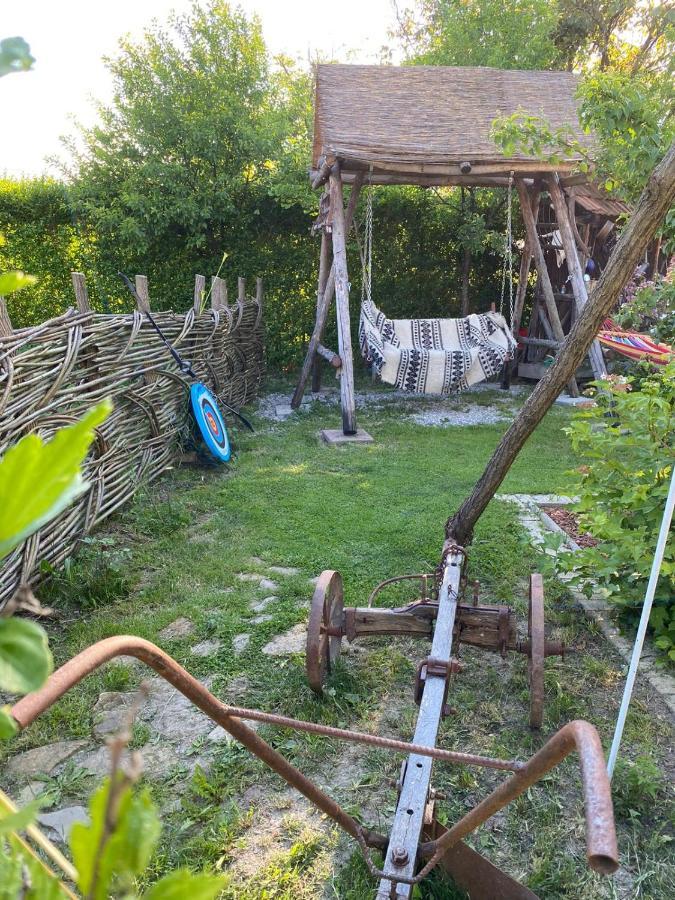 Apartament Casa Cezara Silvasu de Jos Zewnętrze zdjęcie