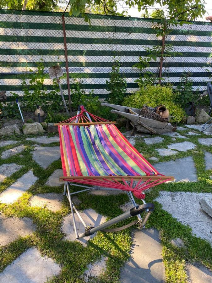 Apartament Casa Cezara Silvasu de Jos Zewnętrze zdjęcie
