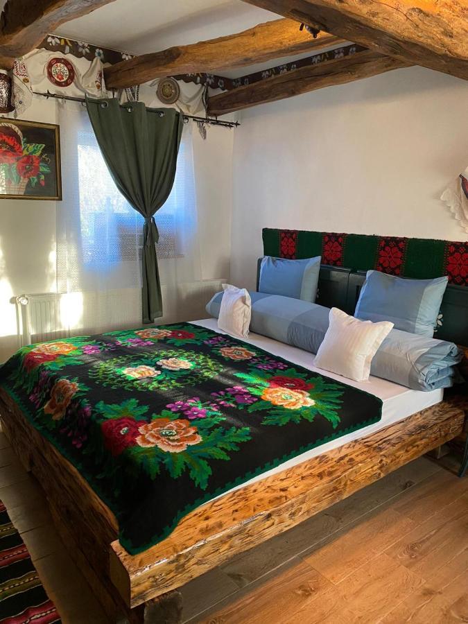 Apartament Casa Cezara Silvasu de Jos Zewnętrze zdjęcie