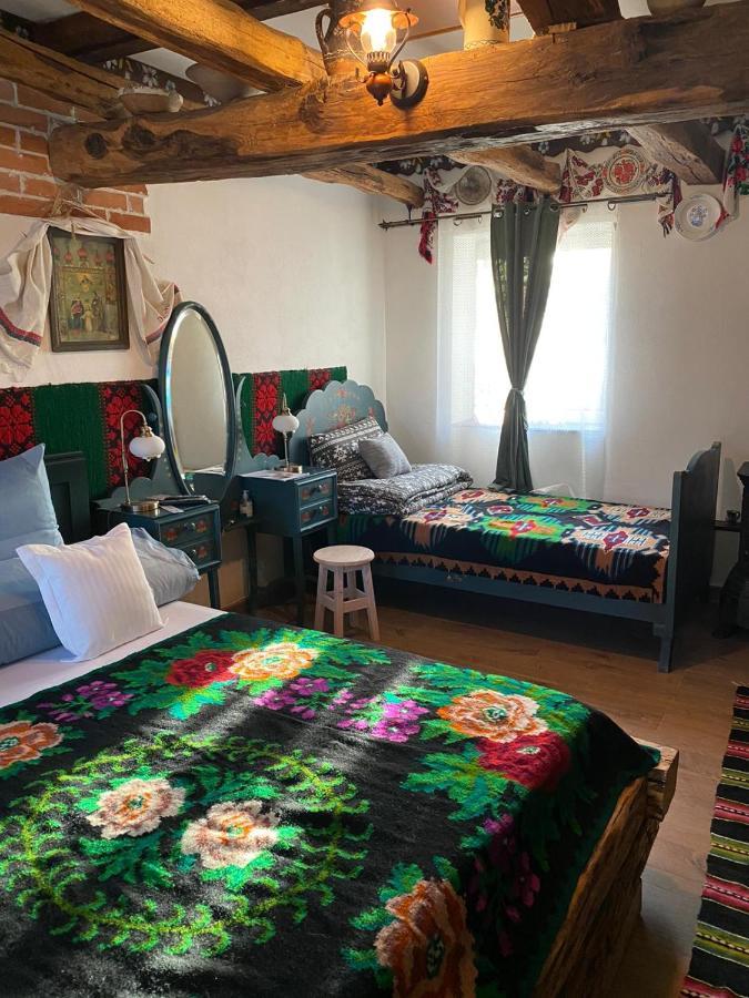 Apartament Casa Cezara Silvasu de Jos Zewnętrze zdjęcie