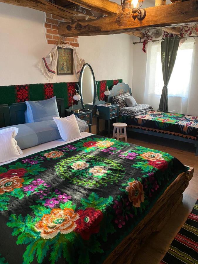 Apartament Casa Cezara Silvasu de Jos Zewnętrze zdjęcie