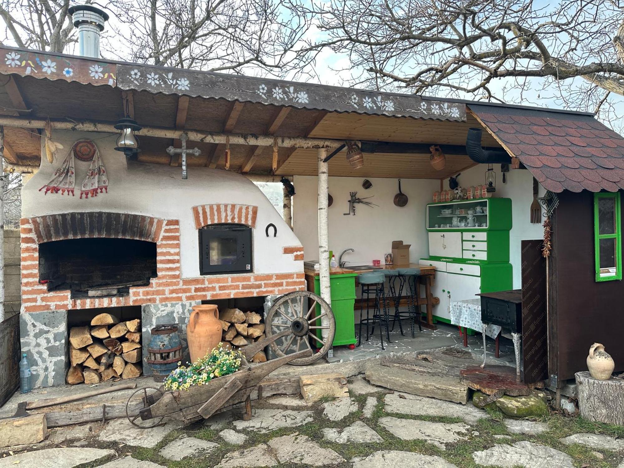 Apartament Casa Cezara Silvasu de Jos Zewnętrze zdjęcie