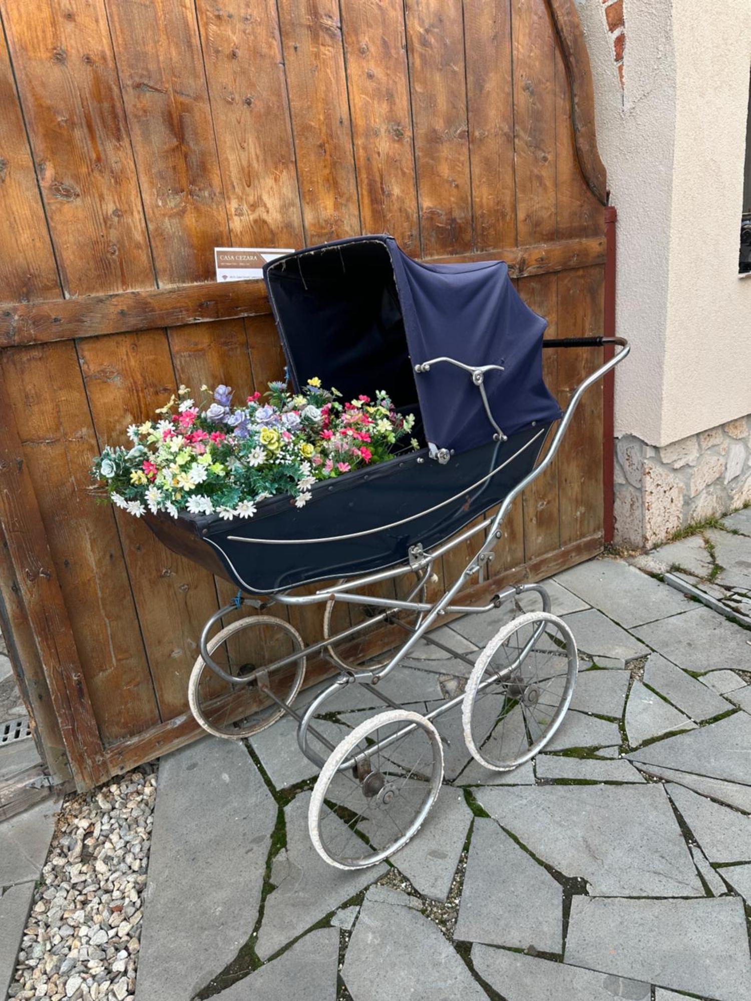 Apartament Casa Cezara Silvasu de Jos Zewnętrze zdjęcie