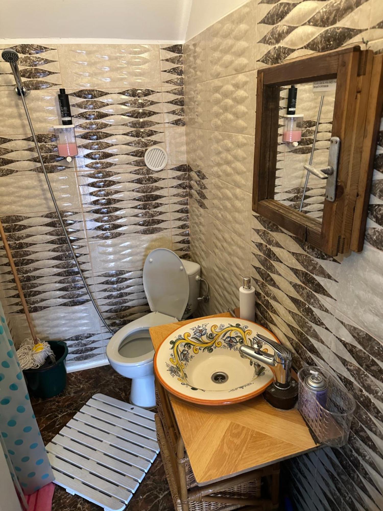 Apartament Casa Cezara Silvasu de Jos Zewnętrze zdjęcie