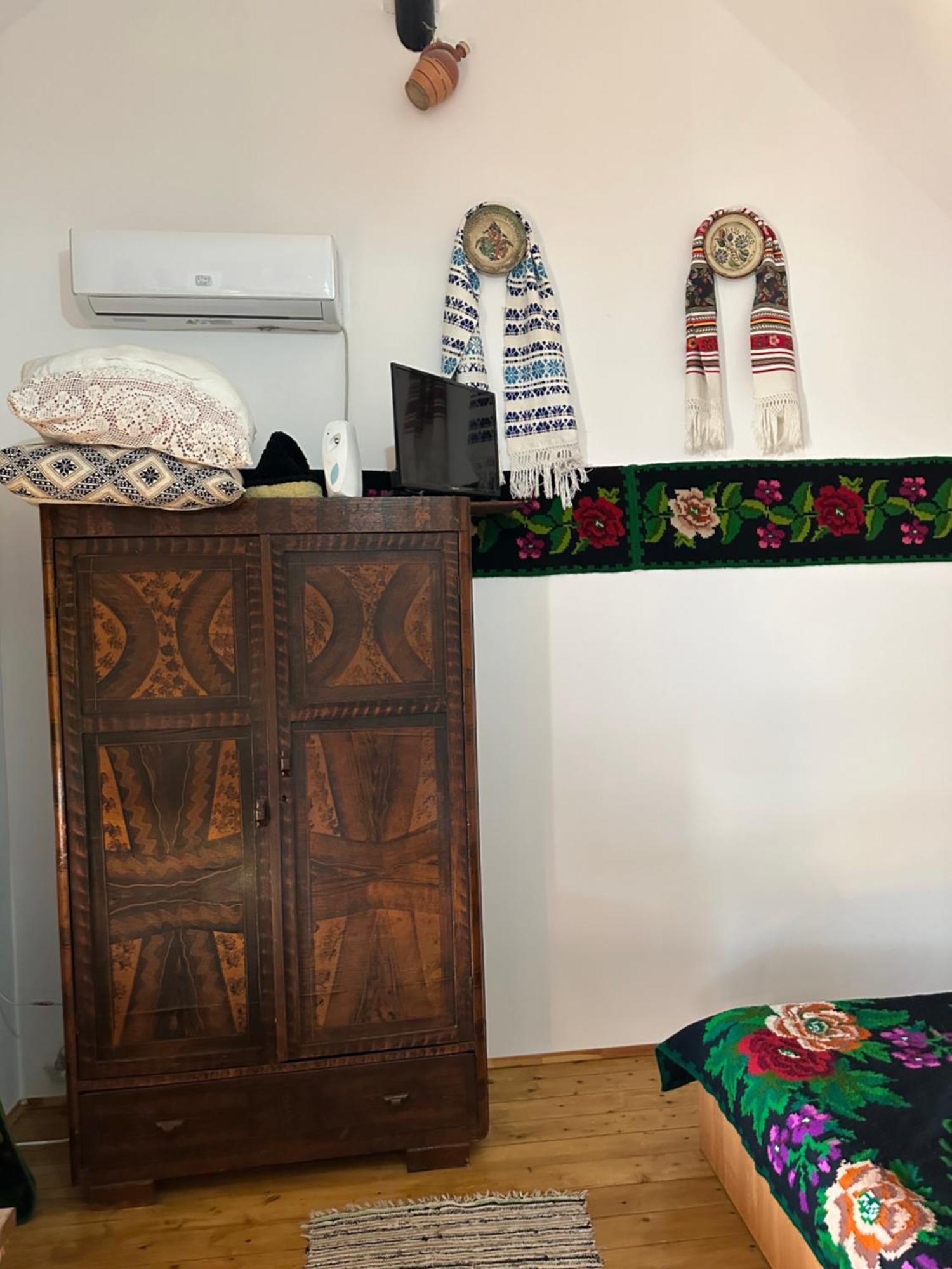 Apartament Casa Cezara Silvasu de Jos Zewnętrze zdjęcie