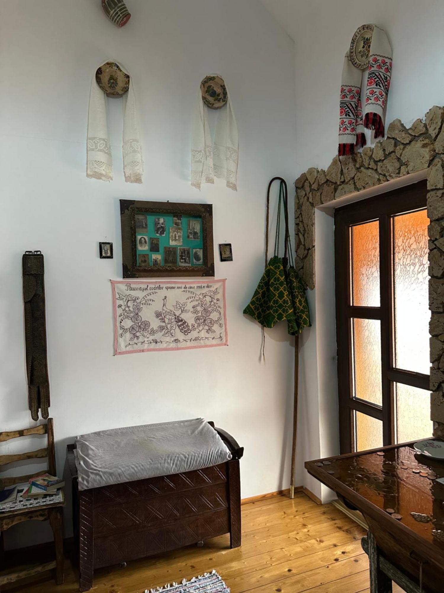 Apartament Casa Cezara Silvasu de Jos Zewnętrze zdjęcie