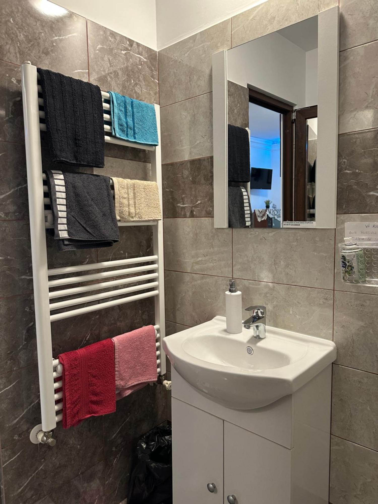 Apartament Casa Cezara Silvasu de Jos Zewnętrze zdjęcie