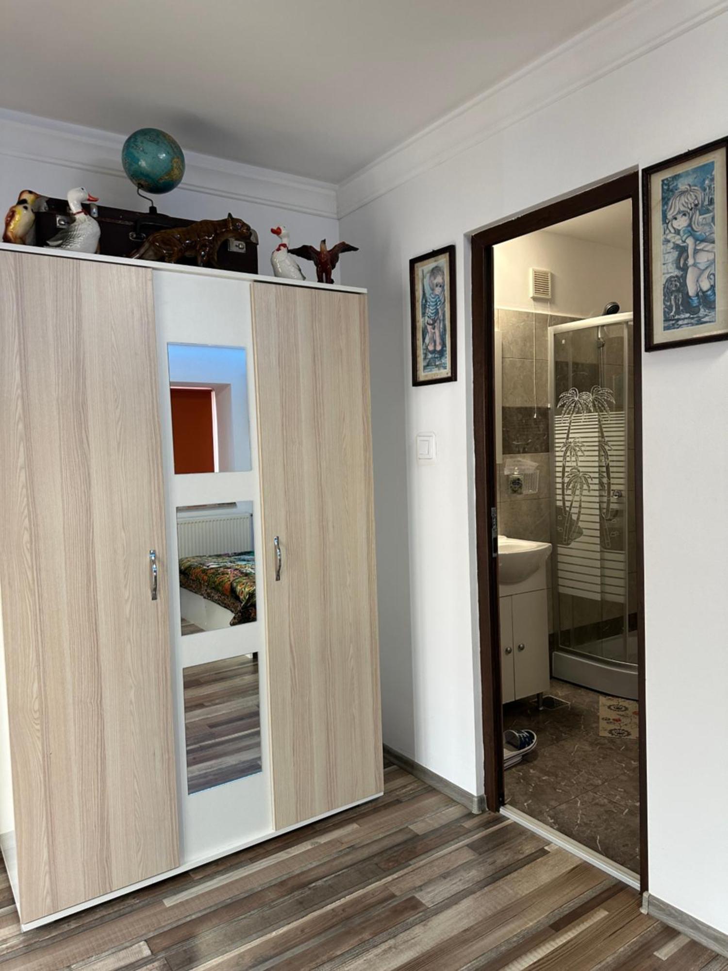 Apartament Casa Cezara Silvasu de Jos Zewnętrze zdjęcie