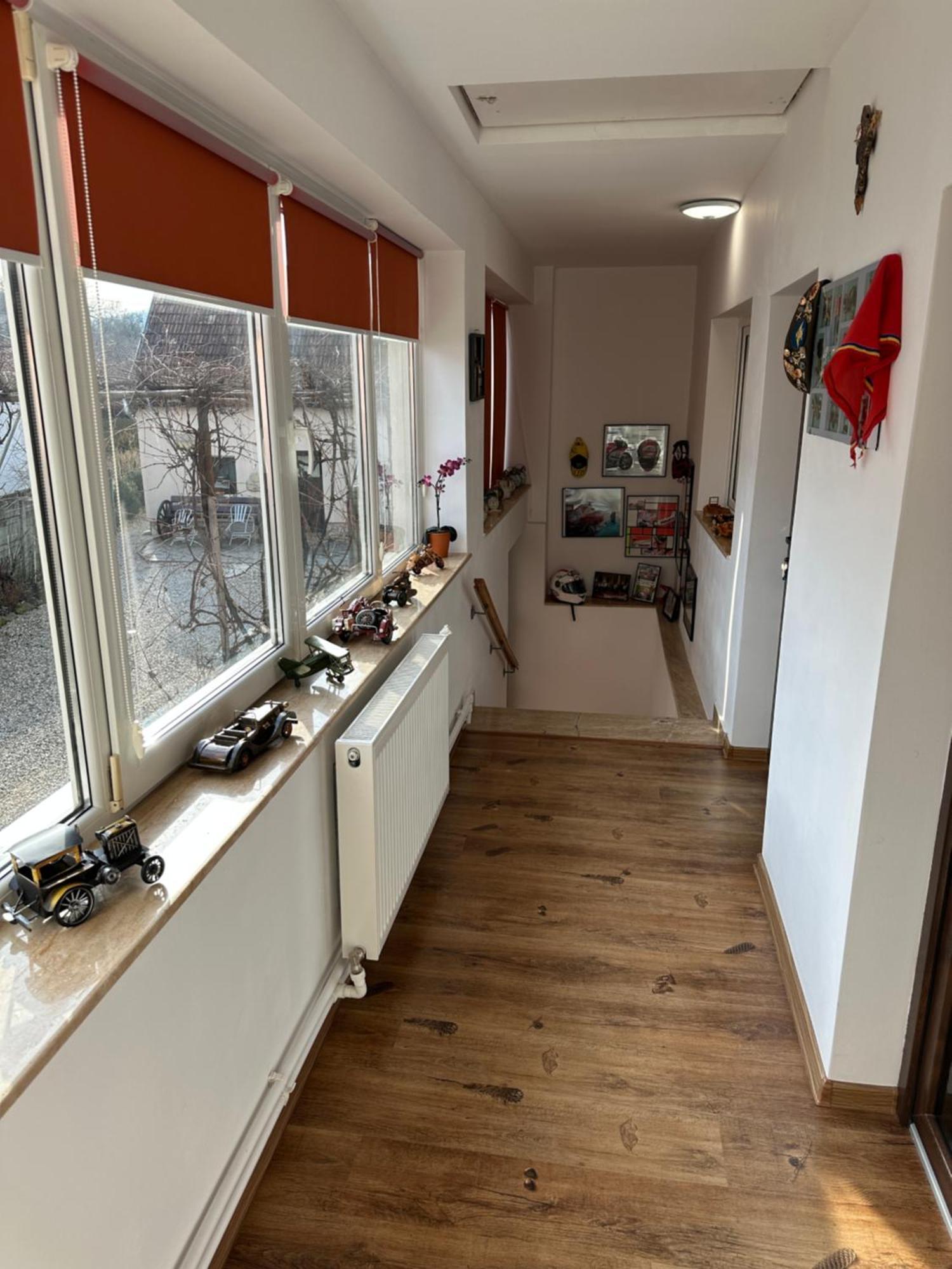 Apartament Casa Cezara Silvasu de Jos Zewnętrze zdjęcie
