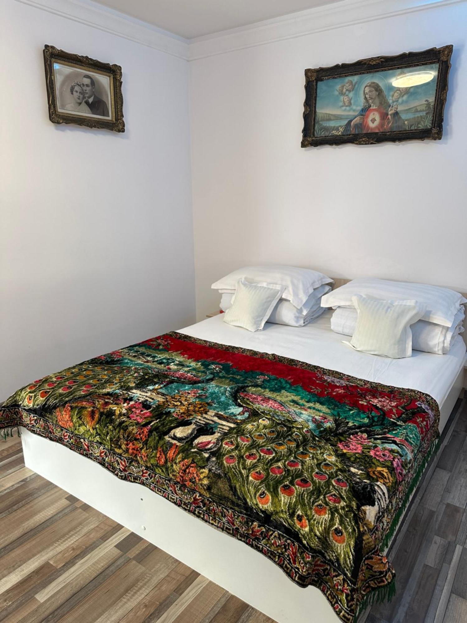 Apartament Casa Cezara Silvasu de Jos Zewnętrze zdjęcie