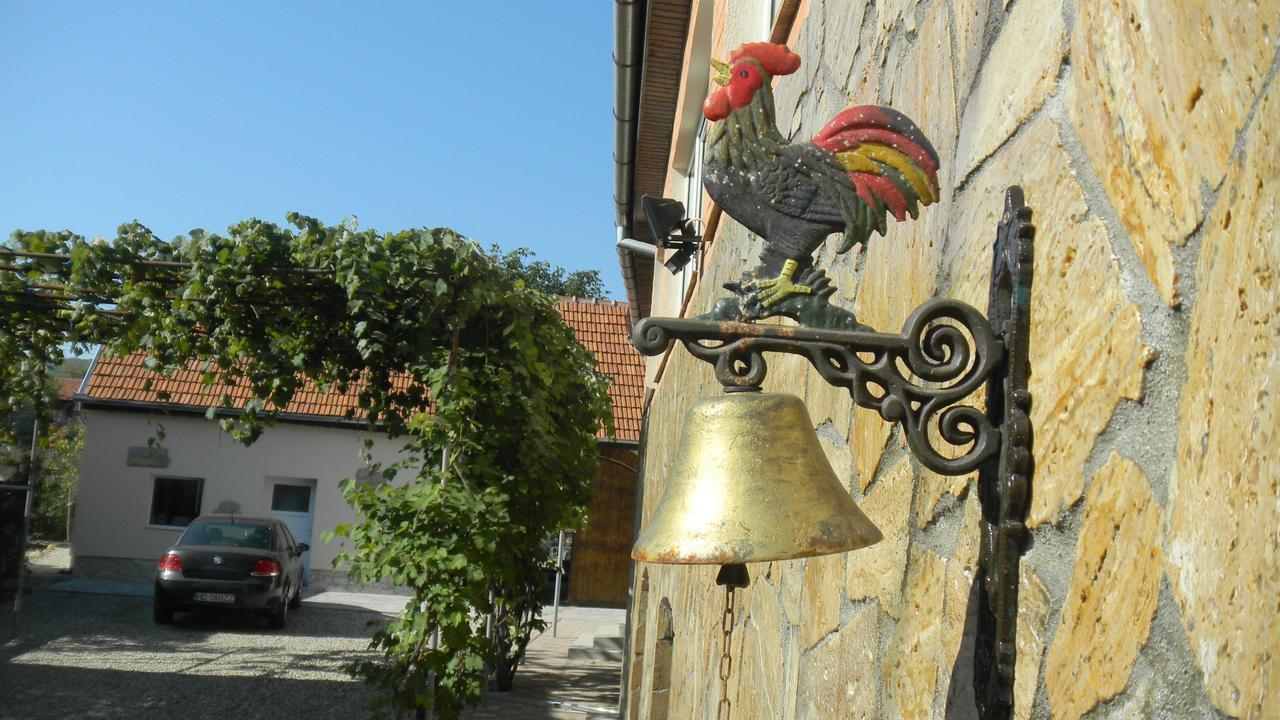 Apartament Casa Cezara Silvasu de Jos Zewnętrze zdjęcie