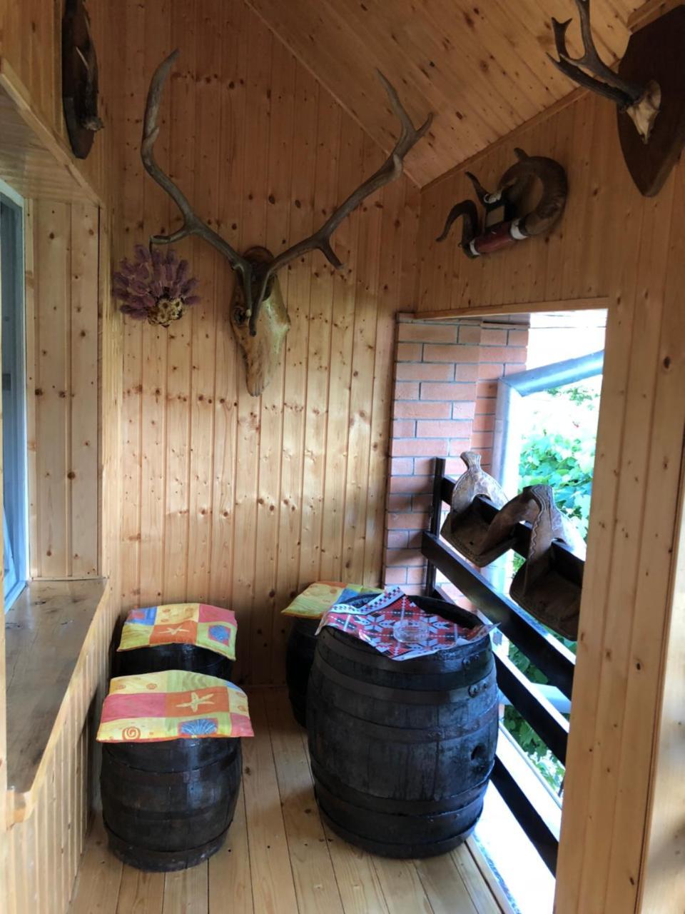 Apartament Casa Cezara Silvasu de Jos Zewnętrze zdjęcie