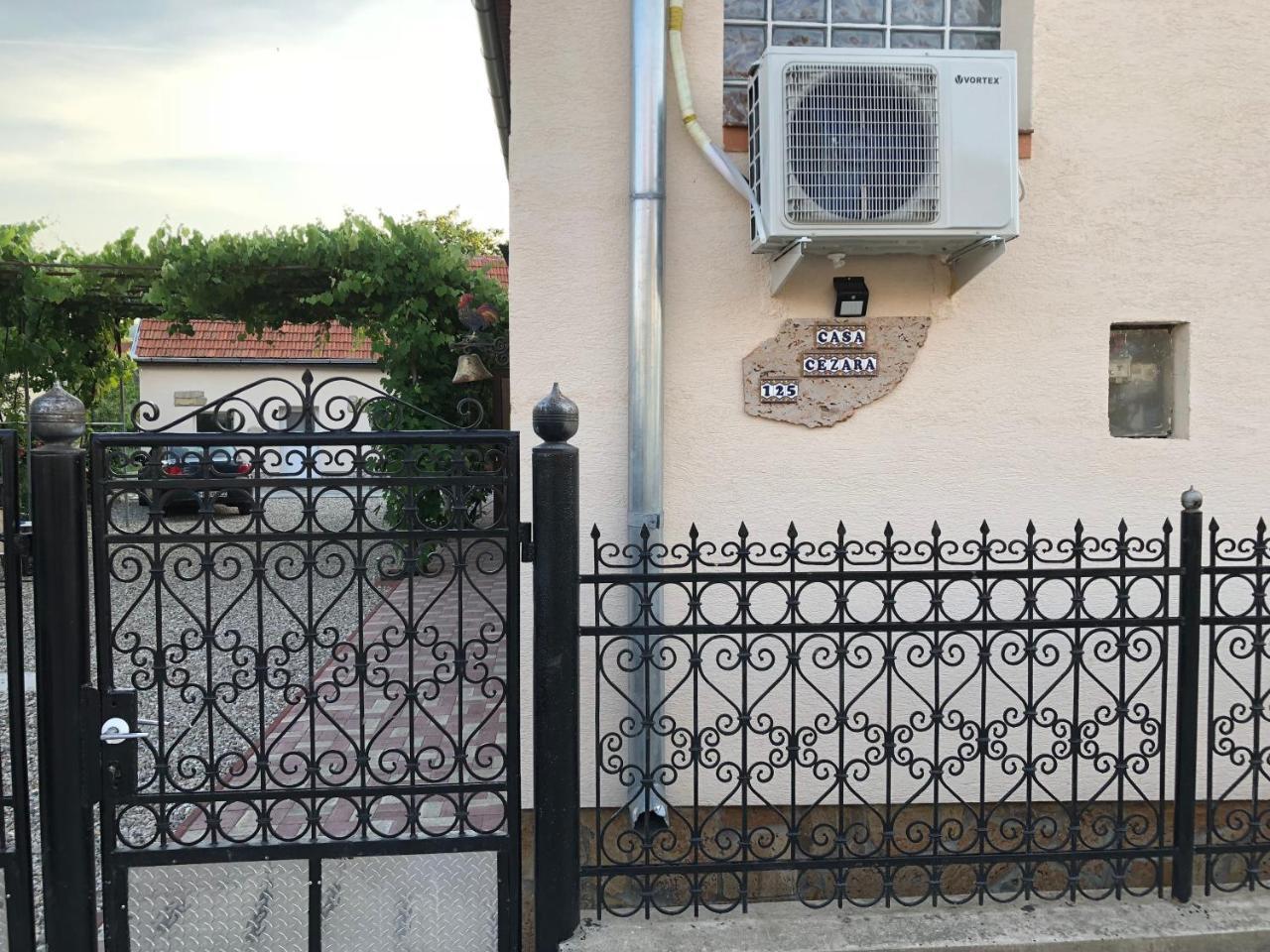 Apartament Casa Cezara Silvasu de Jos Zewnętrze zdjęcie