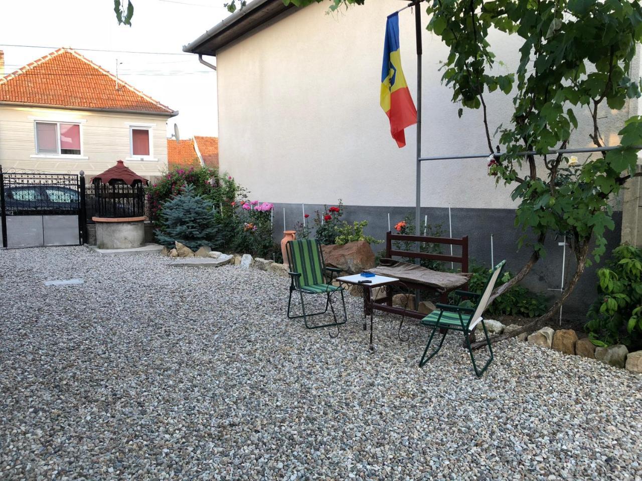 Apartament Casa Cezara Silvasu de Jos Zewnętrze zdjęcie
