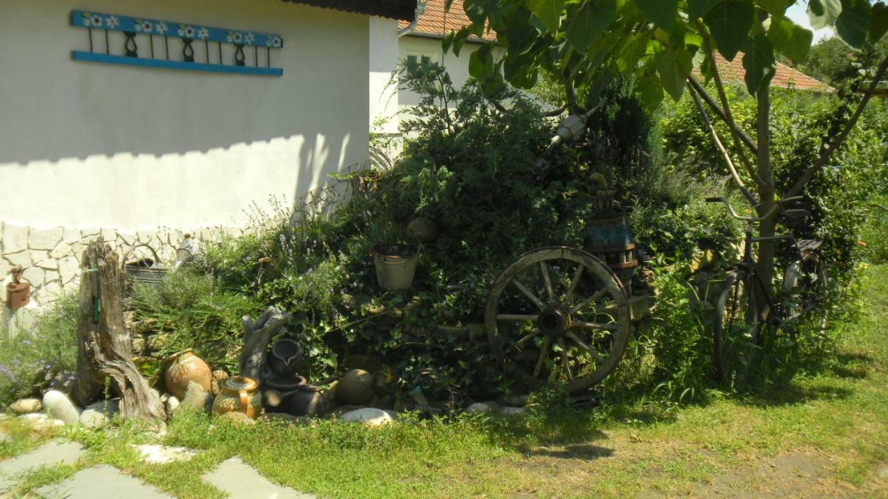 Apartament Casa Cezara Silvasu de Jos Zewnętrze zdjęcie