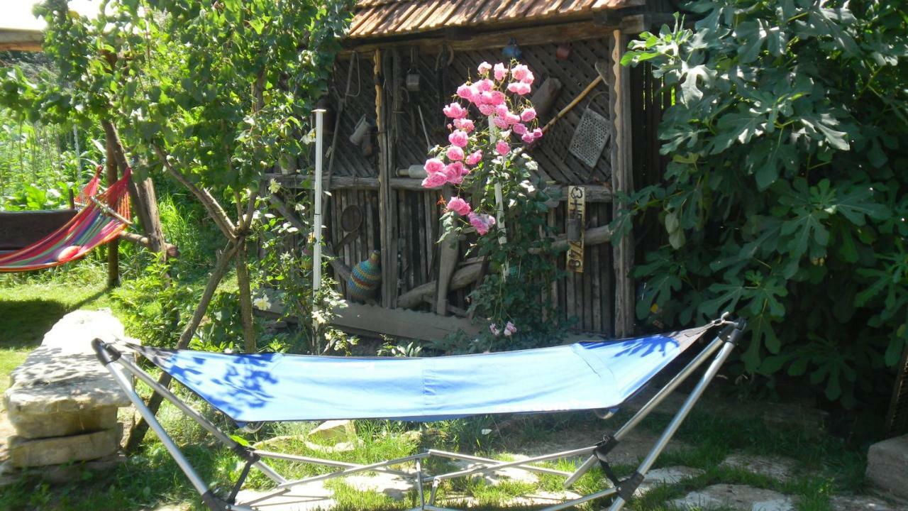 Apartament Casa Cezara Silvasu de Jos Zewnętrze zdjęcie