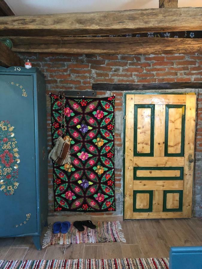 Apartament Casa Cezara Silvasu de Jos Zewnętrze zdjęcie